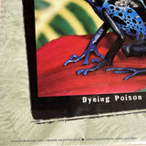 8144 - A - Fabulous Frogs - Lithograph HOT 824 - Photos by Michael Turco - 36" x 12"