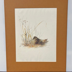 8649 - A - Sand Piper - Matted Print - Signed "Stage"