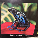 8144 - A - Fabulous Frogs - Lithograph HOT 824 - Photos by Michael Turco - 36" x 12"