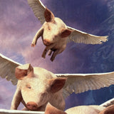 8563 - A - Litho ANF525 - When Pigs Fly - 1996