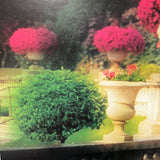 8790 - A - Litho - Garden Image - PHL591 - Jardin Parisien - 36" x 24"