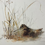 8649 - A - Sand Piper - Matted Print - Signed "Stage"