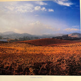 8768 - A - Litho - California Wine Country - PHL590 - 1999