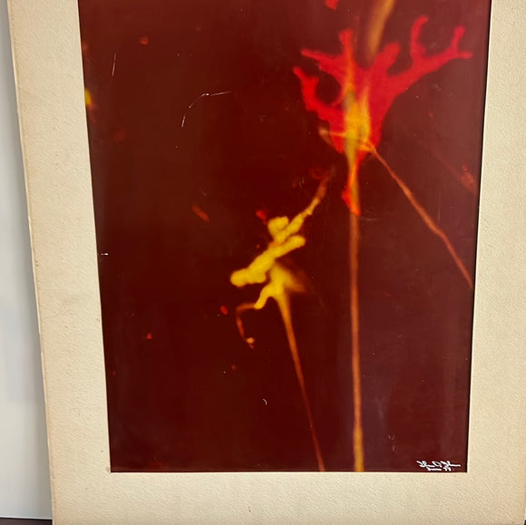 8765 - A - Photo - Signed Abstract - John D. Taylor - 1977 - Matte size 20