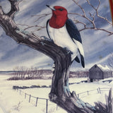 8540 - A - Julie Zickefoose Signed Limited Edition - 264/300
