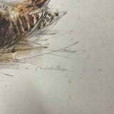 8649 - A - Sand Piper - Matted Print - Signed "Stage"