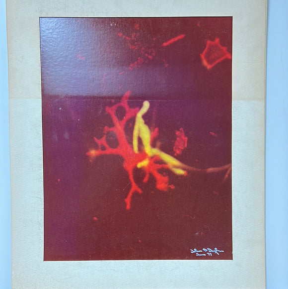 8764 - A - Photo - Signed Abstract - John D. Taylor - 1977 - Matte size 20