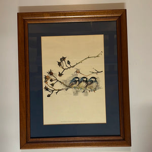 8429 - A - 3 Bluebirds on a Branch - Framed under glass - Signed Print