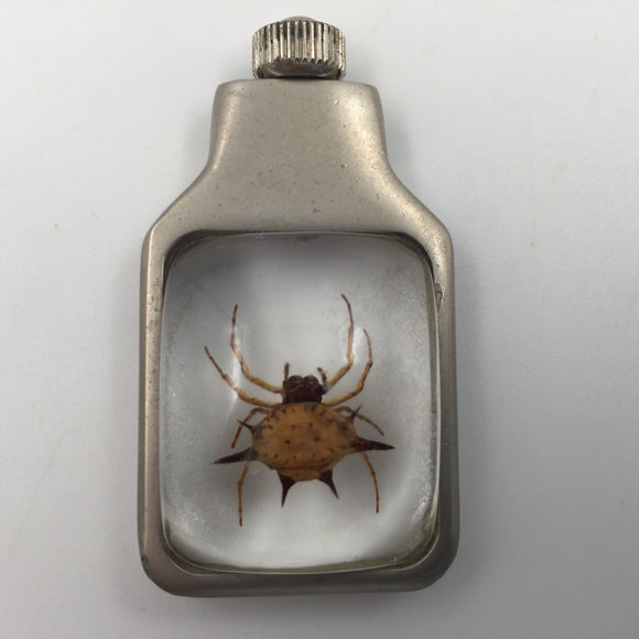 10574 - AP - Deadly Spider Encased in Clear Acrylic - Acrylic Surrounded by Decorative Metal Piece - Box 24