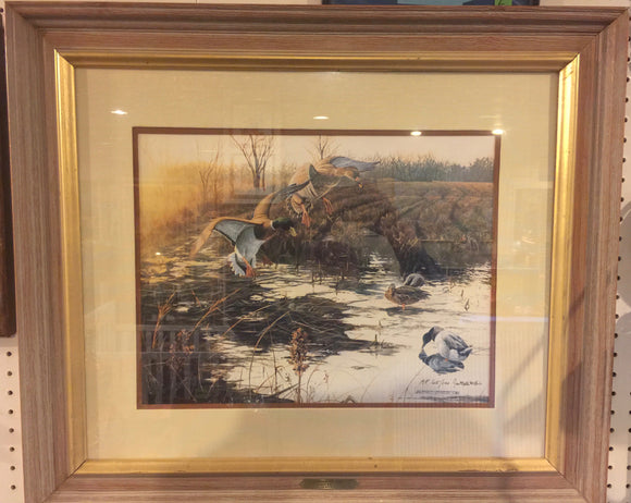 8423 - A - Signed Print - Jan Martin McQuire 1988 - Ducks on Pond -  Limited Edition 65/100