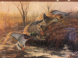 8423 - A - Signed Print - Jan Martin McQuire 1988 - Ducks on Pond -  Limited Edition 65/100