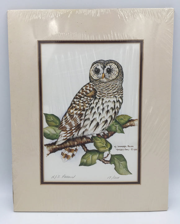 8541 - A - Nancy Pallan Signed Limited Edition - 17/200 - Barred Owl 