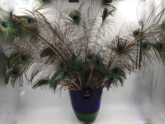 8561 - H - Blue & Green Glass Vase with Rare Color Peacock Feathers (35-40)