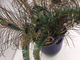 8561 - H - Blue & Green Glass Vase with Rare Color Peacock Feathers (35-40)