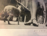 8618 - A - Litho - Ay' Chihuahua - Dog Show 1967 - Litho PHL629 - Art Gallery Quality