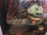 8620 - A - Litho - Veiled Chameleon - Litho AN8614 - Art Gallery Quality - 24 x 36