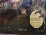 8620 - A - Litho - Veiled Chameleon - Litho AN8614 - Art Gallery Quality - 24 x 36