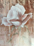 8636 - A - Litho - Ambient Rose - A Mystical Rose in a Magical Setting - Switzerland - #8247