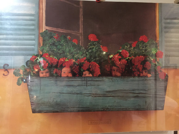8767 - A - Lithograph - Flower Box - Anne Geddes - PHL549 LITHO - 1996
