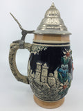 8883 - C - West Germany Stein - - Hand Painted - Corzelius  - Box 32