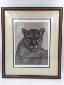 9371 - A - Fine Art - Signed Limited Edition 2692/3000 - Cougar - Peter Skirka - 1984